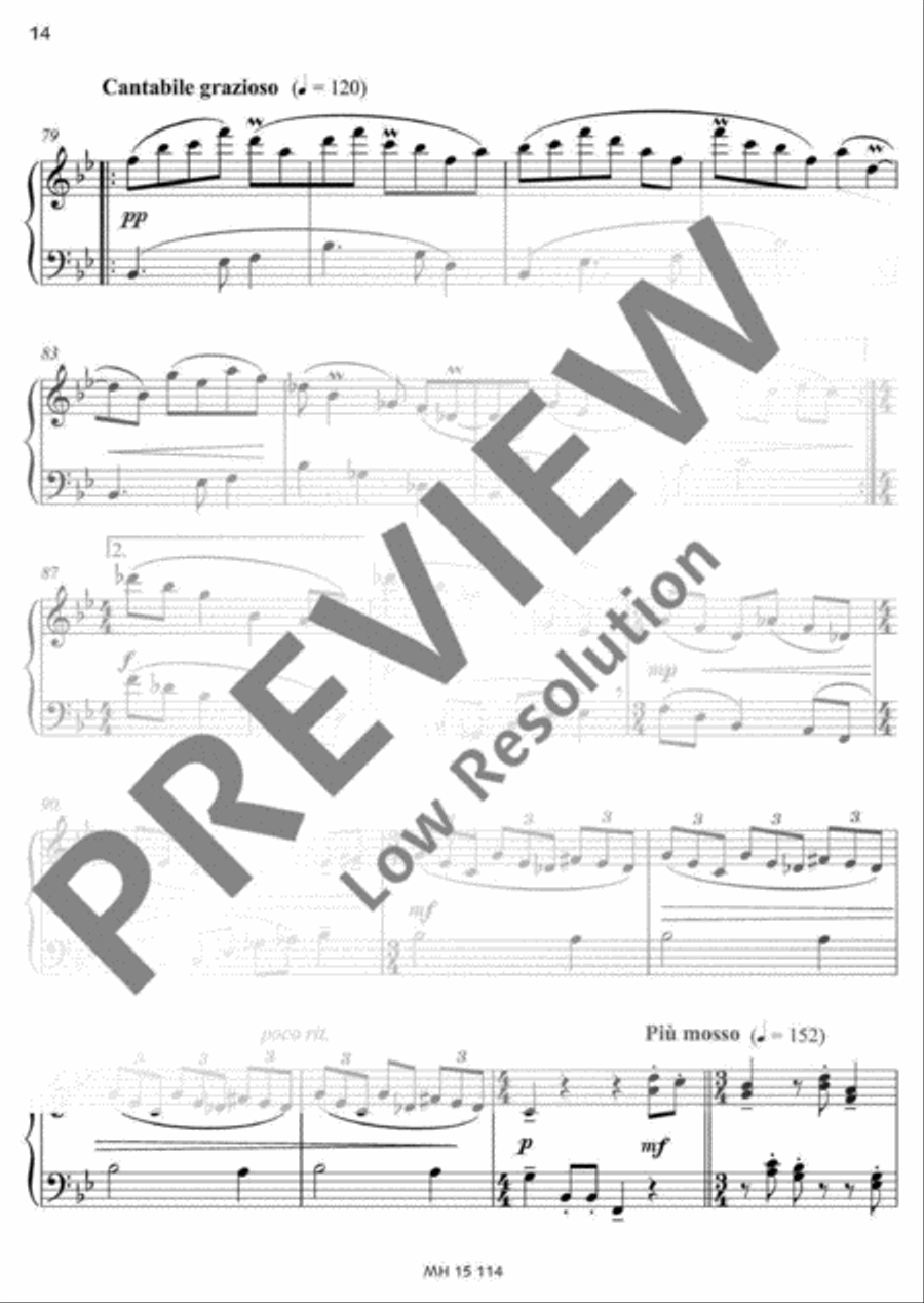 Frühlings-Partita Accordion scores gallery preview page 15