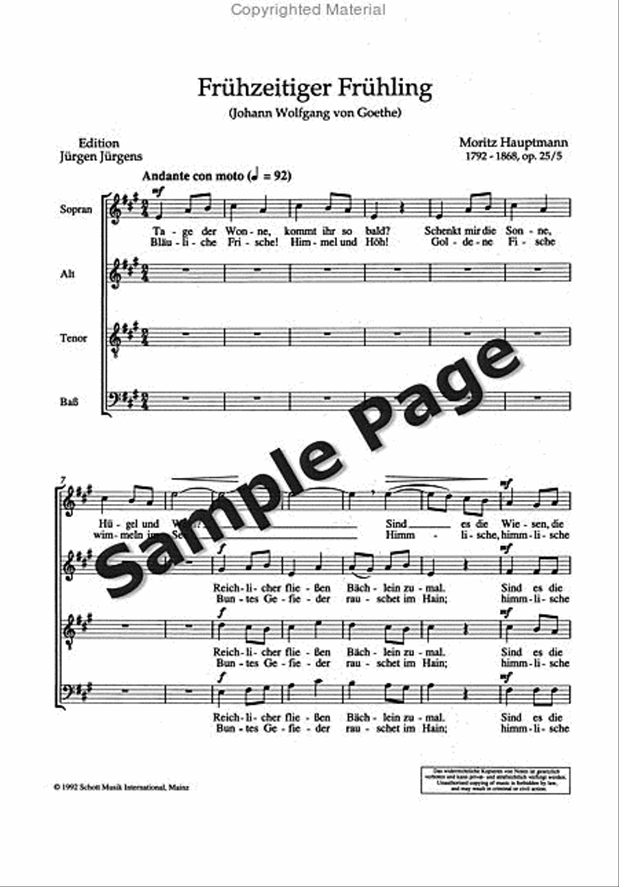 Freuhzeitiger Fruehling 4-Part scores gallery preview page 3