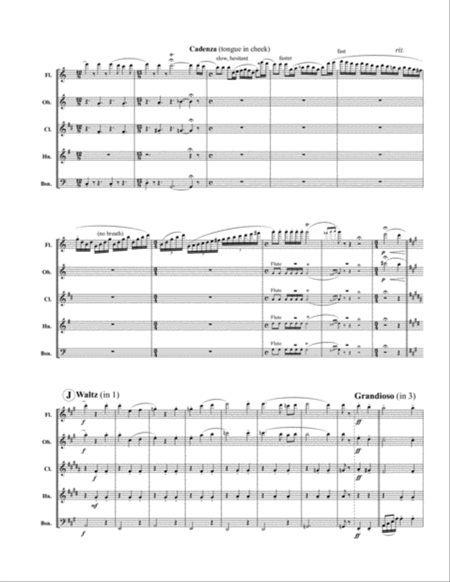 Turkey in the Straw Woodwind Quintet scores gallery preview page 5