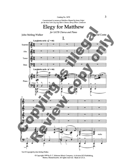 Elegy for Matthew image number null
