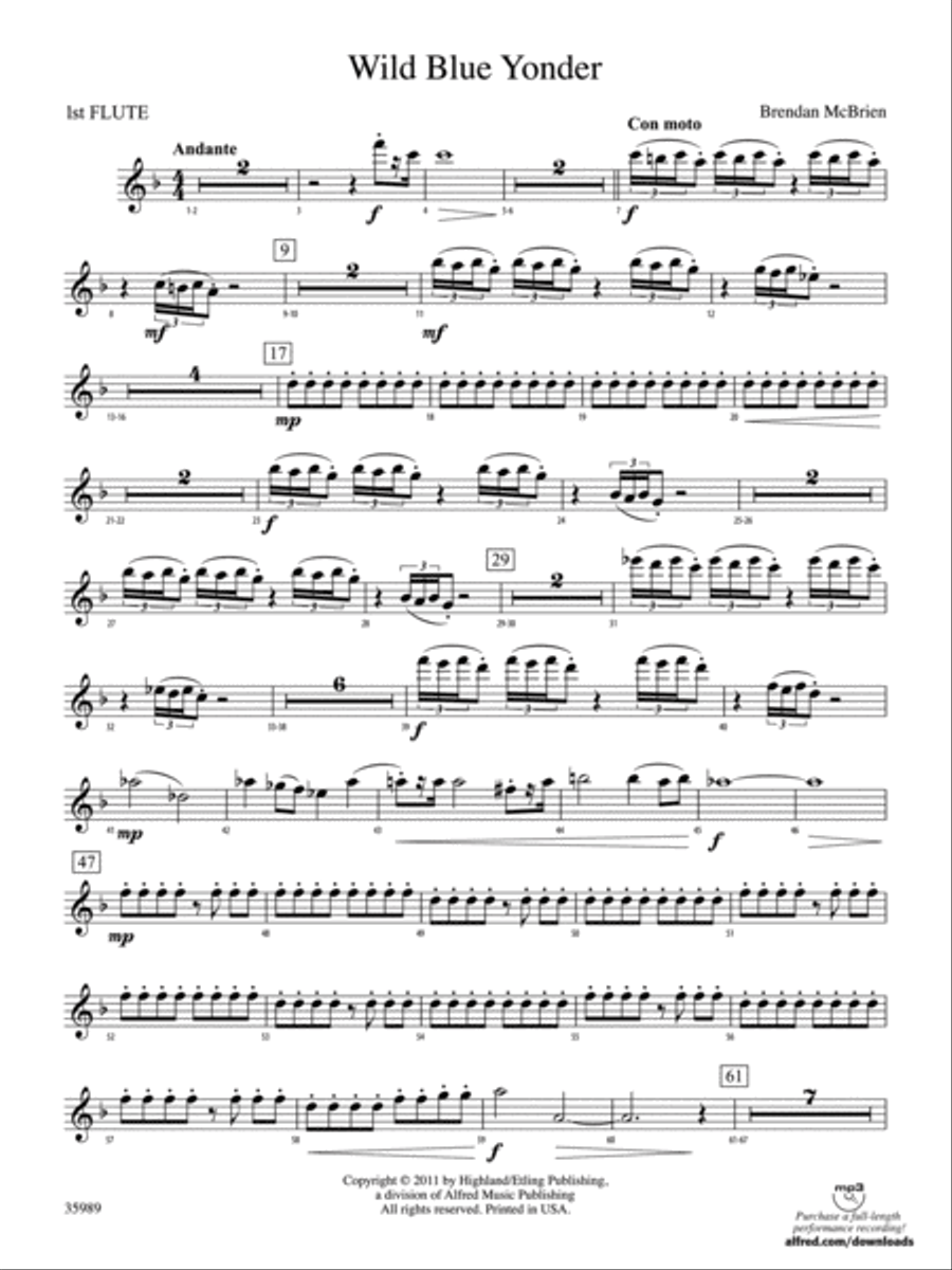 Wild Blue Yonder: Flute Wild Blue Yonder: Flute Full Orchestra scores gallery preview page 1