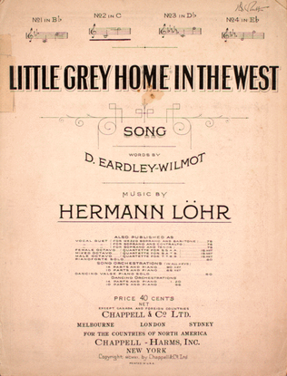 Book cover for Little Grey Home in the West. Song