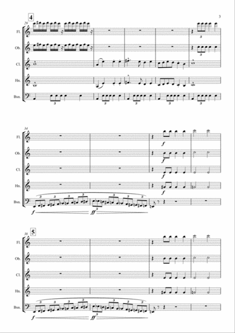 Saint-Saëns: The Carnival of the Animals -I.Introduction et Marche Royal - wind quintet Woodwind Quintet scores gallery preview page 3