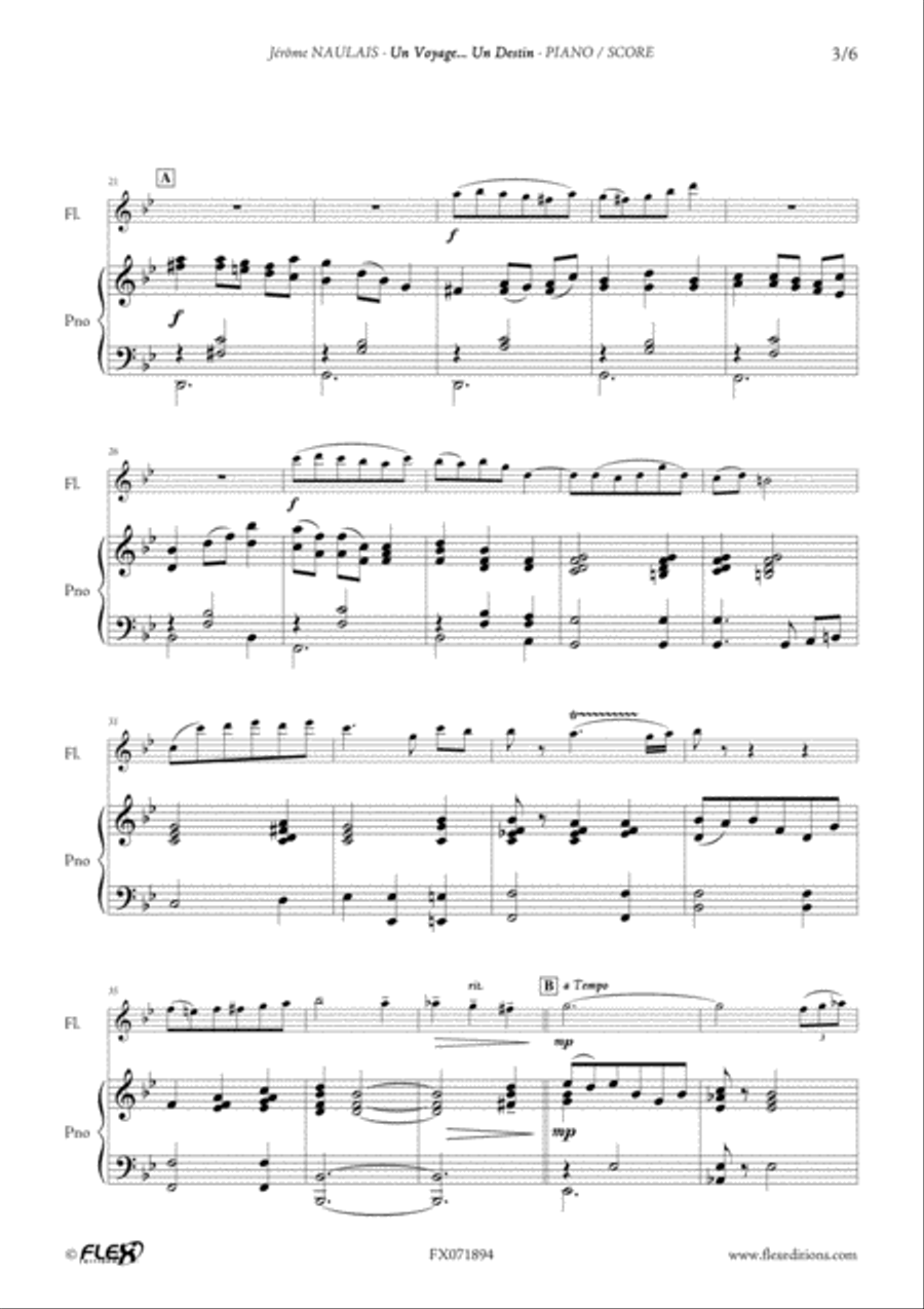Un Voyage... Un Destin Flute Solo scores gallery preview page 3