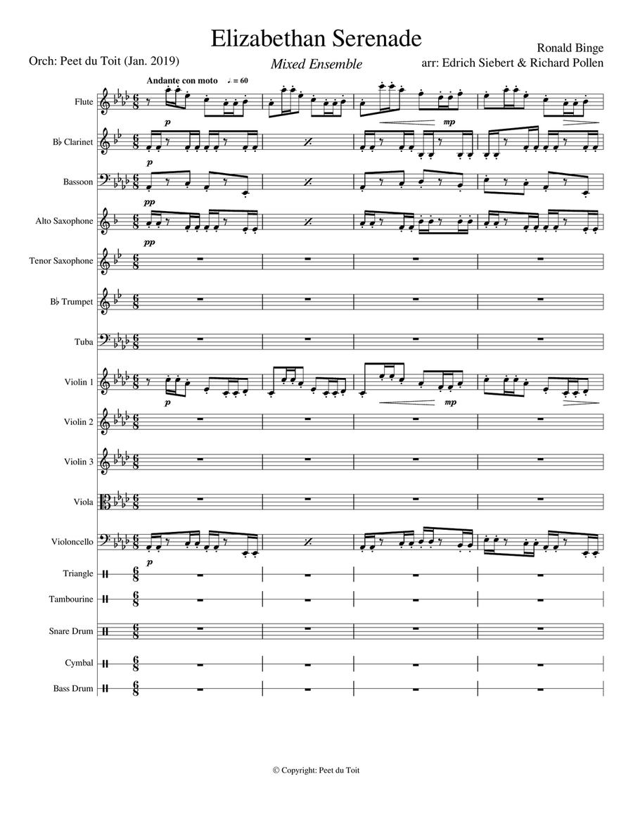 Elizabethan Serenade - Ronald Binge (Mixed Ensemble) Large Ensemble scores gallery preview page 1