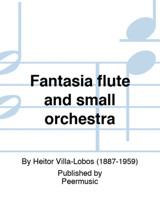 Book cover for Fantasia flute and small orchestra