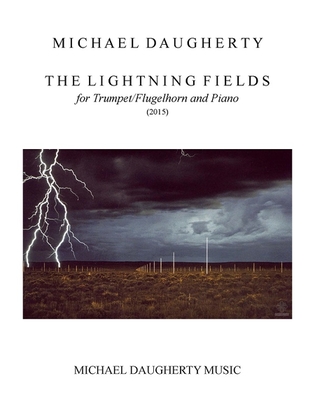 Book cover for The Lightning Fields