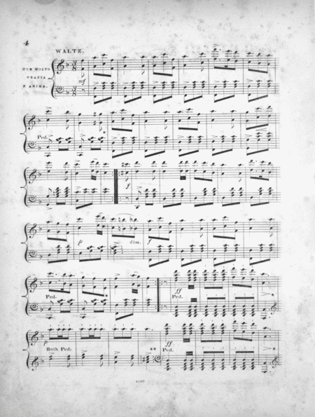 The De Meyer Grand Waltz. A Musical Jeu D'Esprit