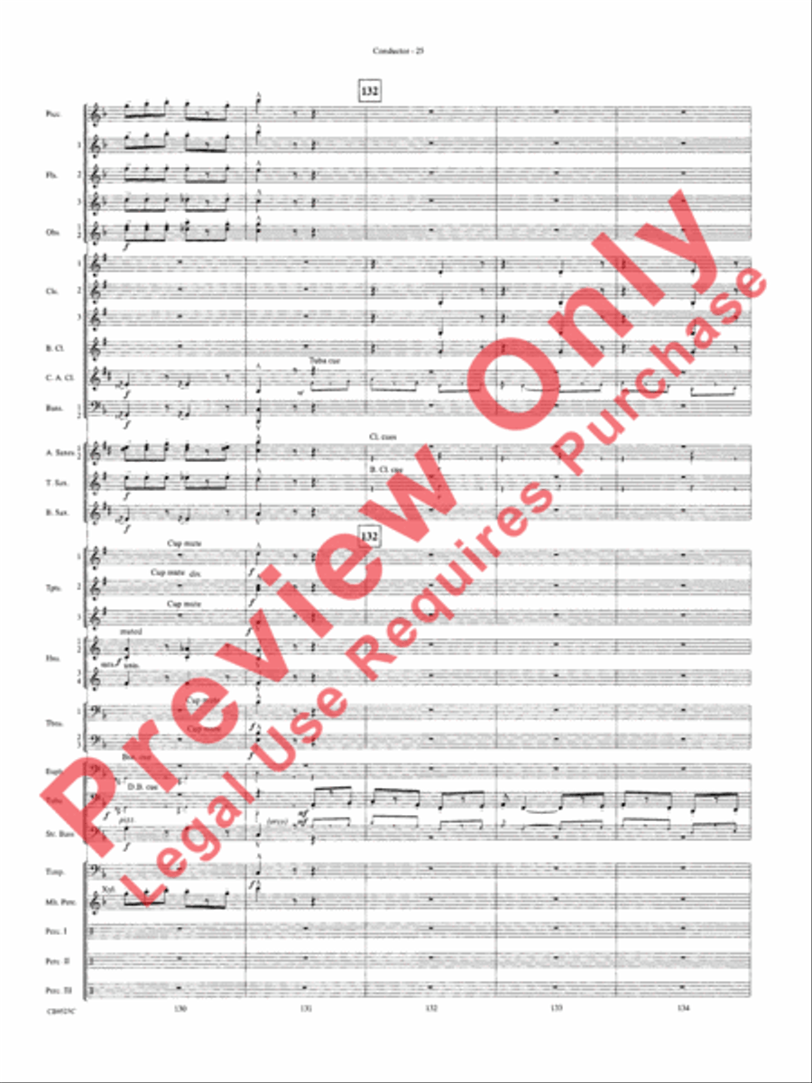 The Wizard of Oz Concert Band scores gallery preview page 28