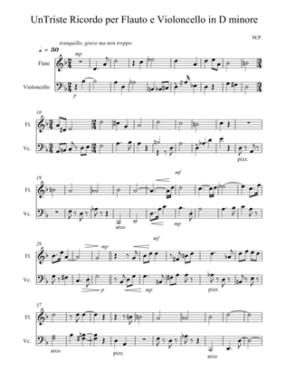 Un Triste Ricordo per Flauto e Violoncello in D minore