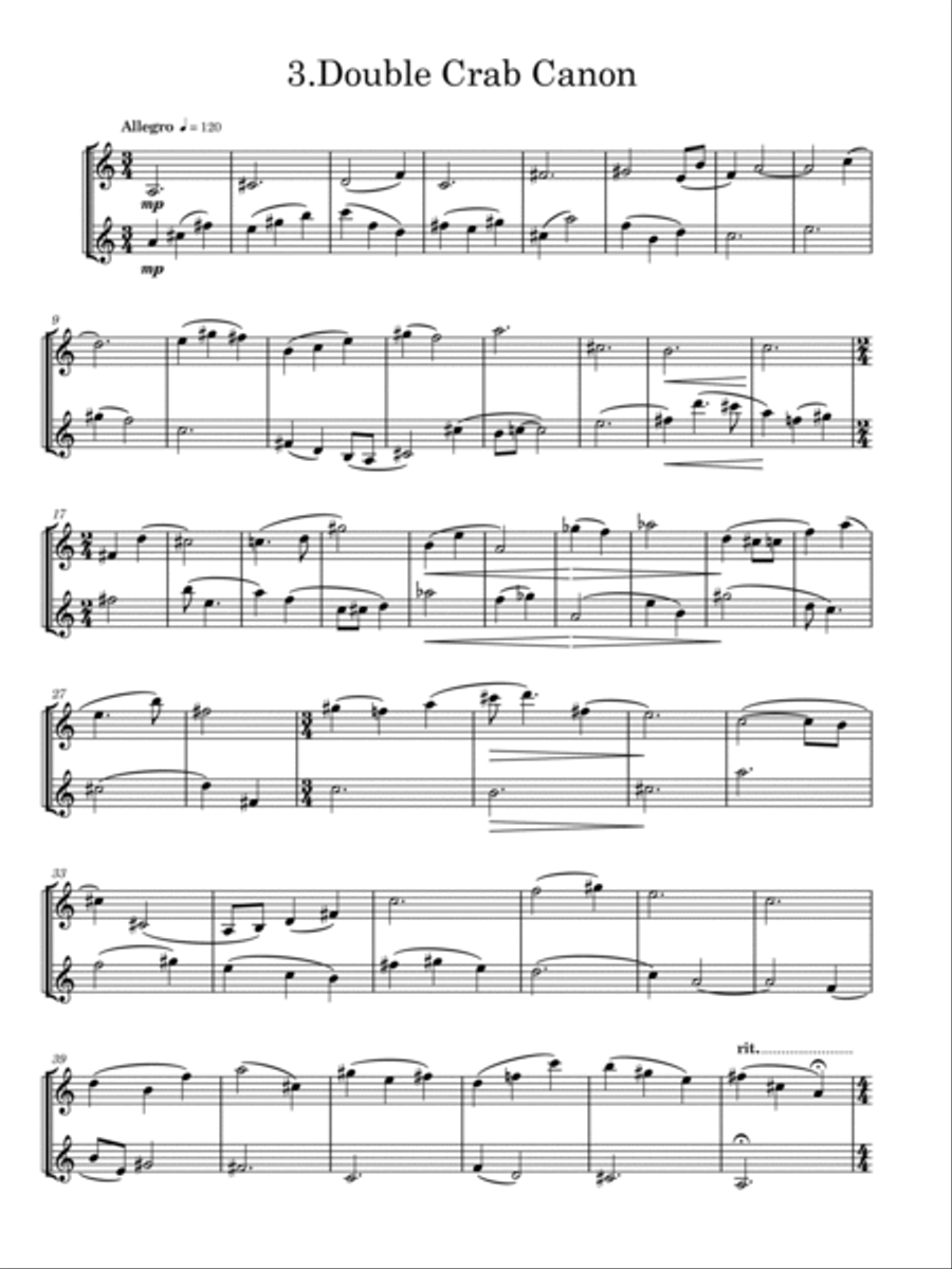 Five Loose Canons for 2 Bass Clarinets. Clarinet Duet scores gallery preview page 4