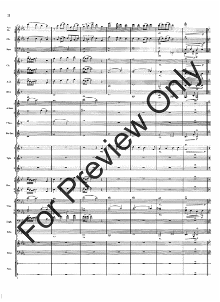 Meramec Rhapsody (Score) Meramec Rhapsody (Score) Concert Band scores gallery preview page 14