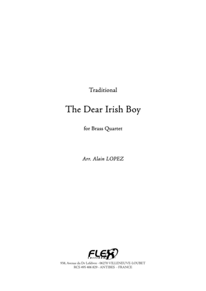 Book cover for The Dear Irish Boy