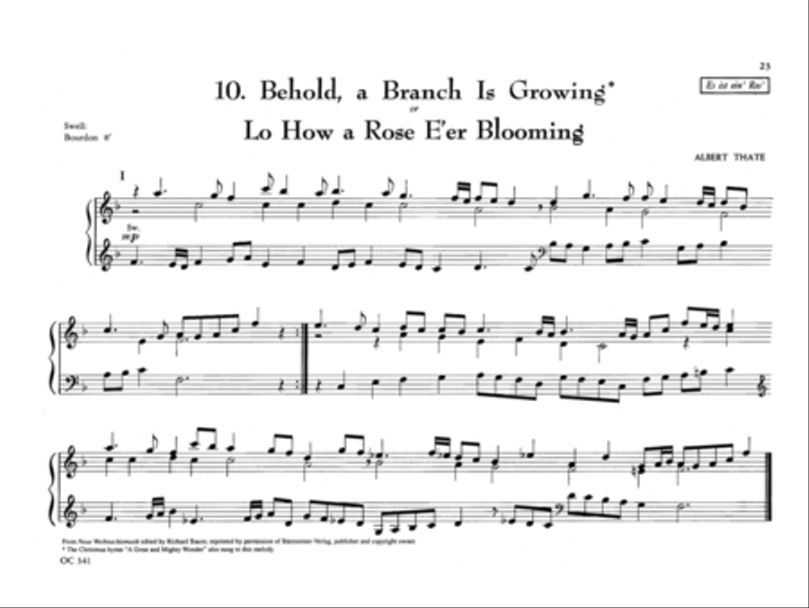 The Parish Organist, Part 05 (Advent, Christmas) Organ scores gallery preview page 12