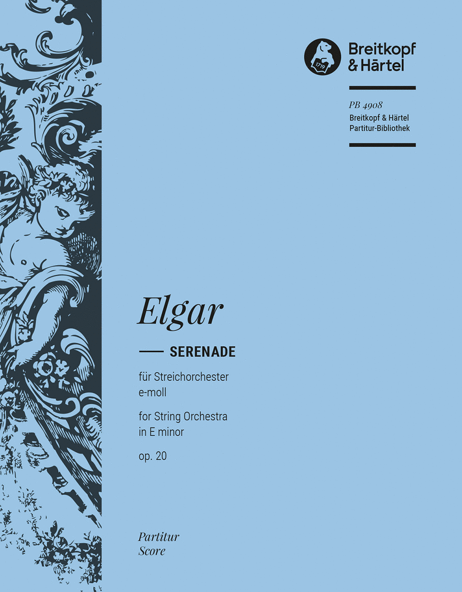 Serenade in E minor Op. 20 String Orchestra scores gallery preview page 1