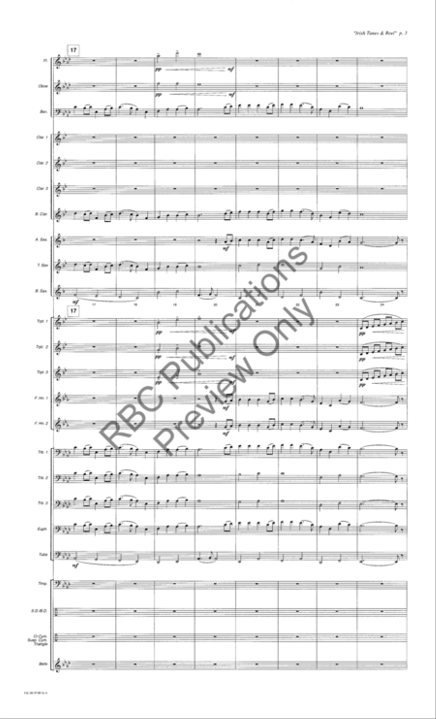 Irish Tunes And Reel (Score) Concert Band scores gallery preview page 6