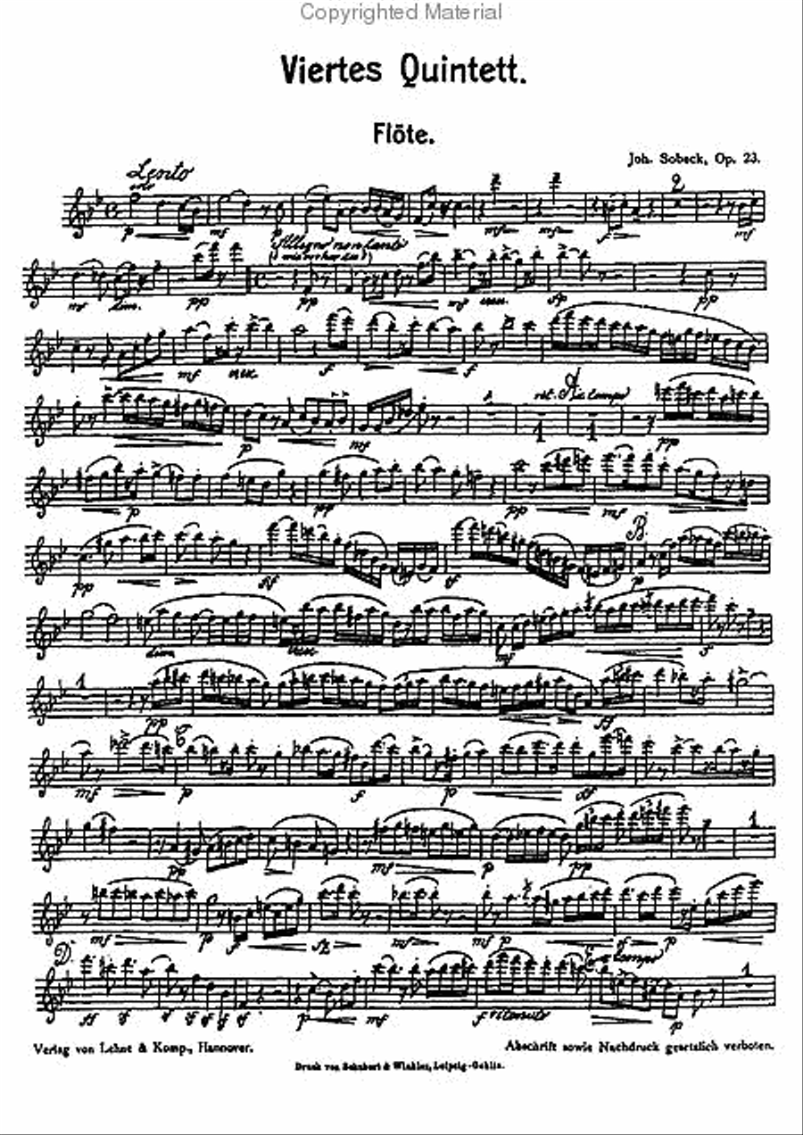 Wind Quintet Bb, Op. 23 Woodwind Quintet scores gallery preview page 2