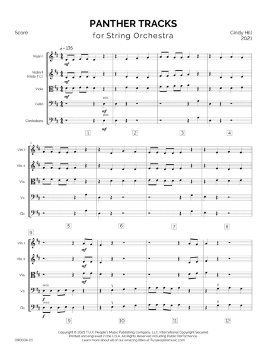 Panther Tracks String Orchestra scores gallery preview page 6