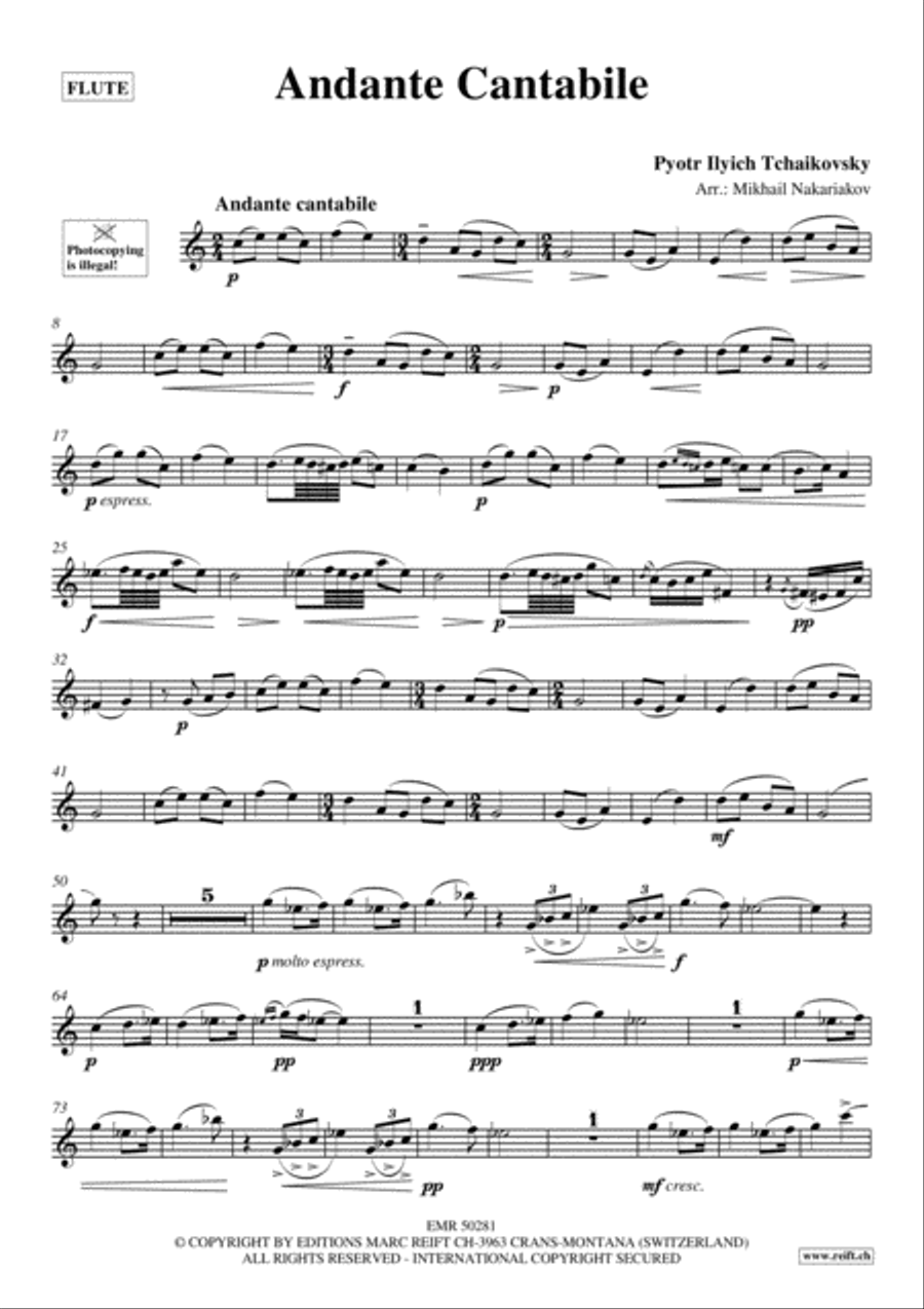 Andante Cantabile Flute Solo scores gallery preview page 2