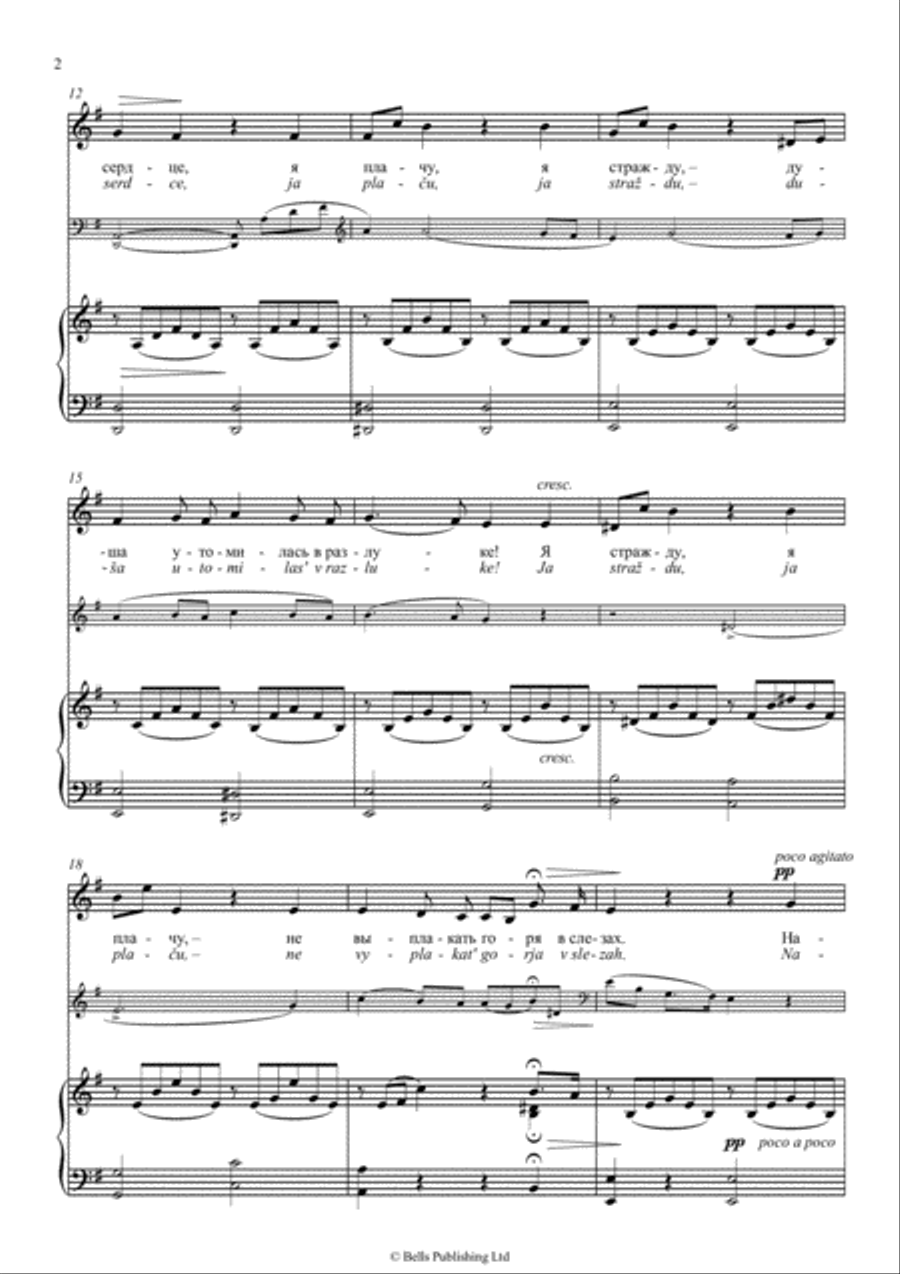Somnenie (voice, piano and obligato) (E minor) Voice scores gallery preview page 2