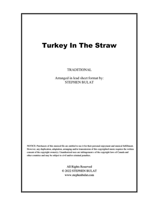 Turkey In The Straw (Traditional) - Lead sheet in original key of G (instrumental and vocal)