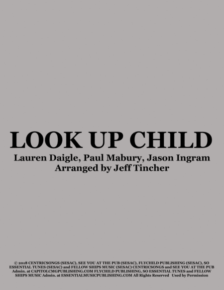 Look Up Child image number null