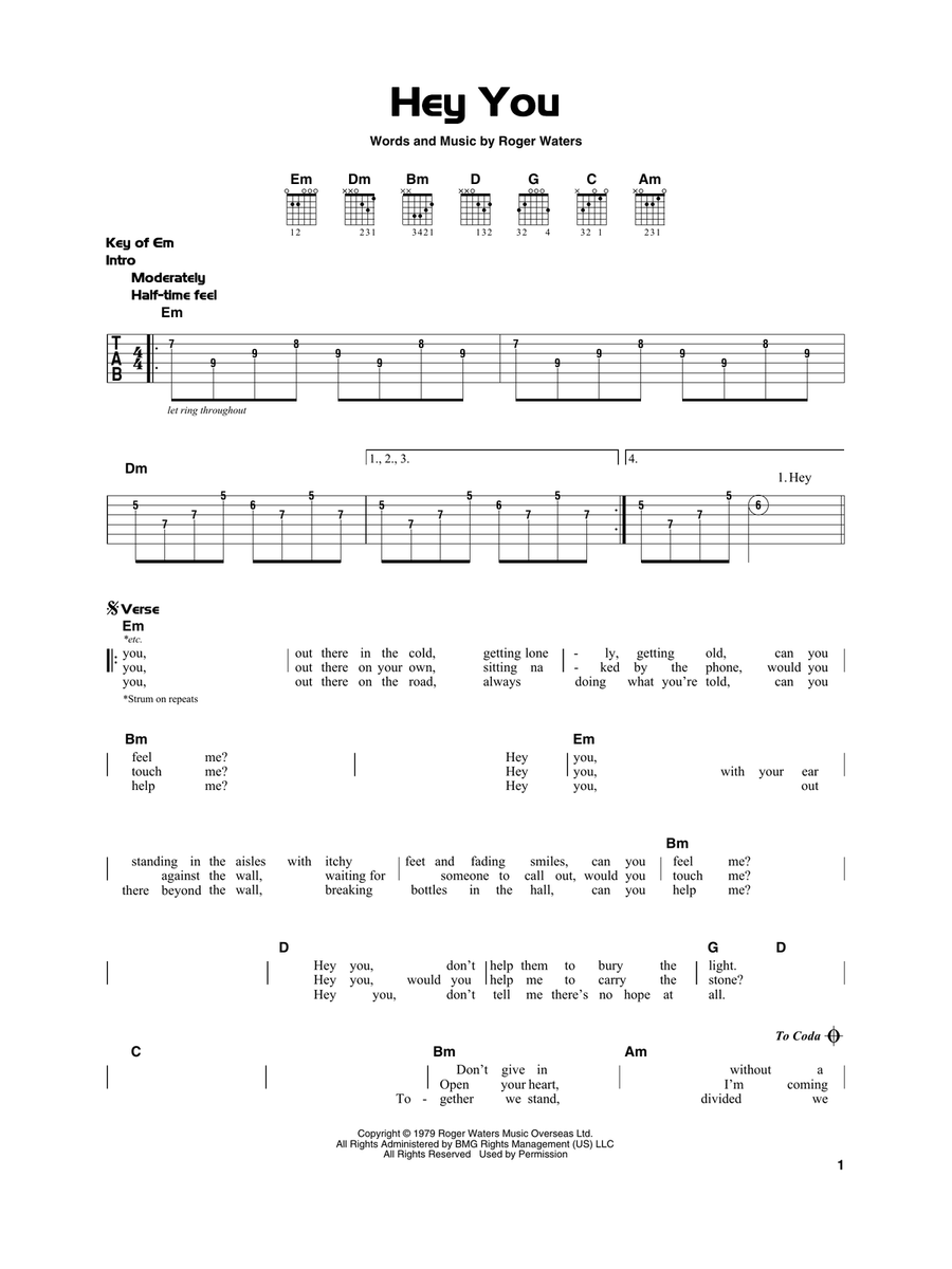 Hey You Acoustic Guitar scores gallery preview page 1