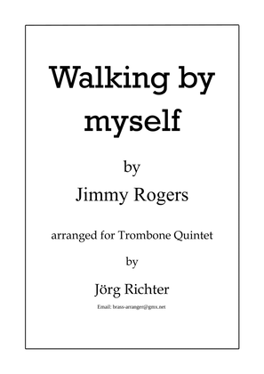 Book cover for Walking By Myself