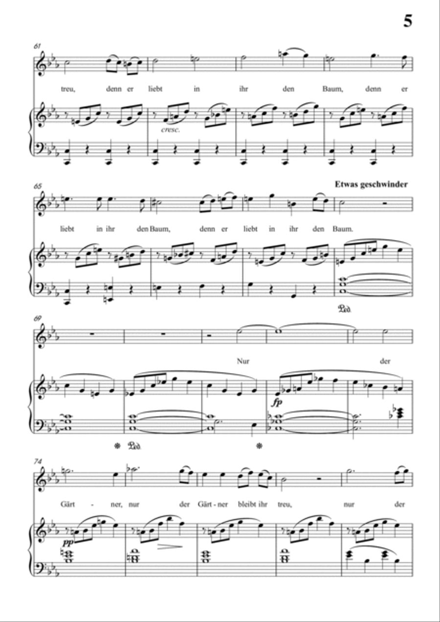 Schubert-Die Abgeblühte Linde(The Faded Linden Tree) in c minor,for Vocal and Pno Voice scores gallery preview page 6