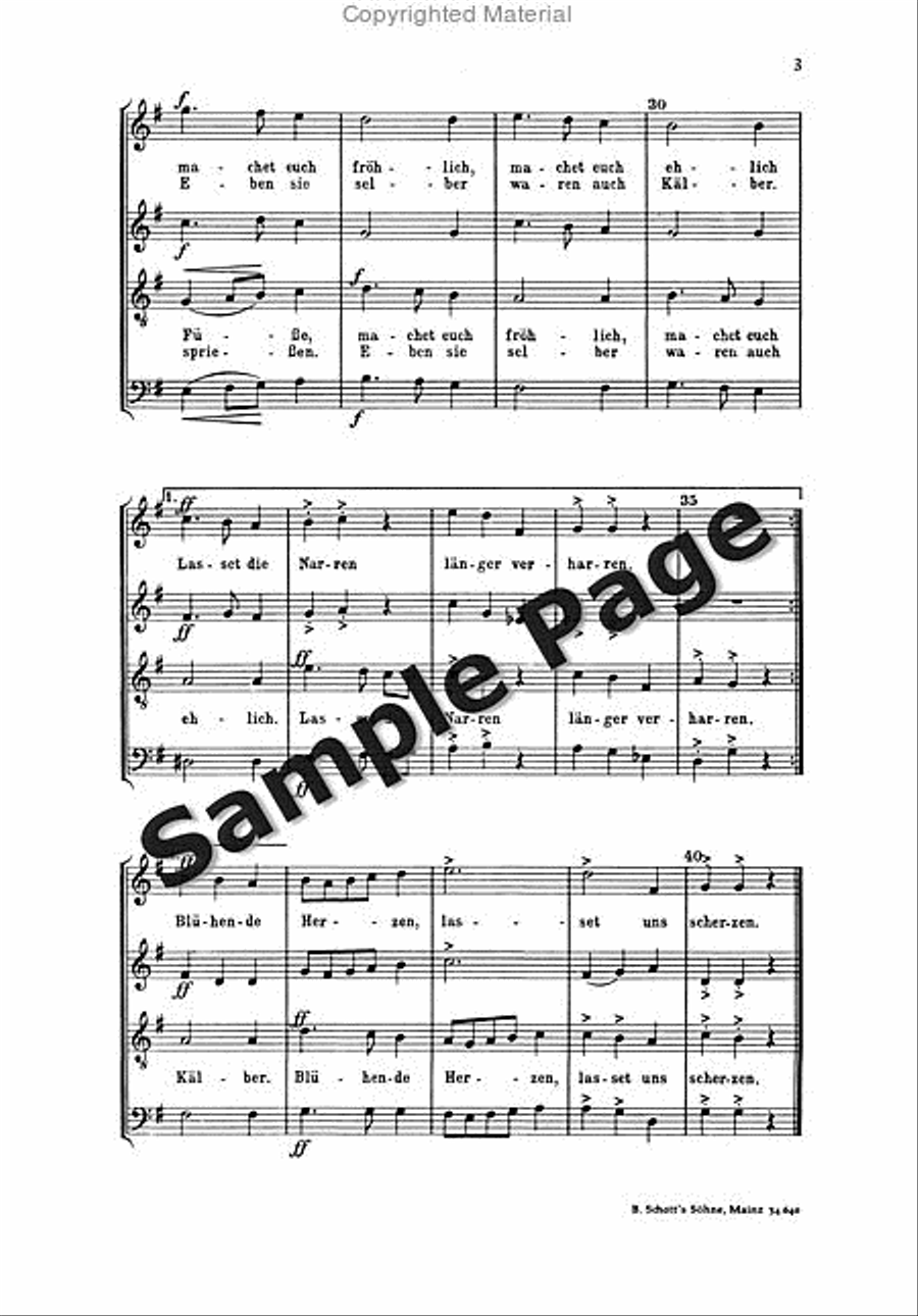 Stuermer B Tanzlied Op90/1 A Cappella scores gallery preview page 4