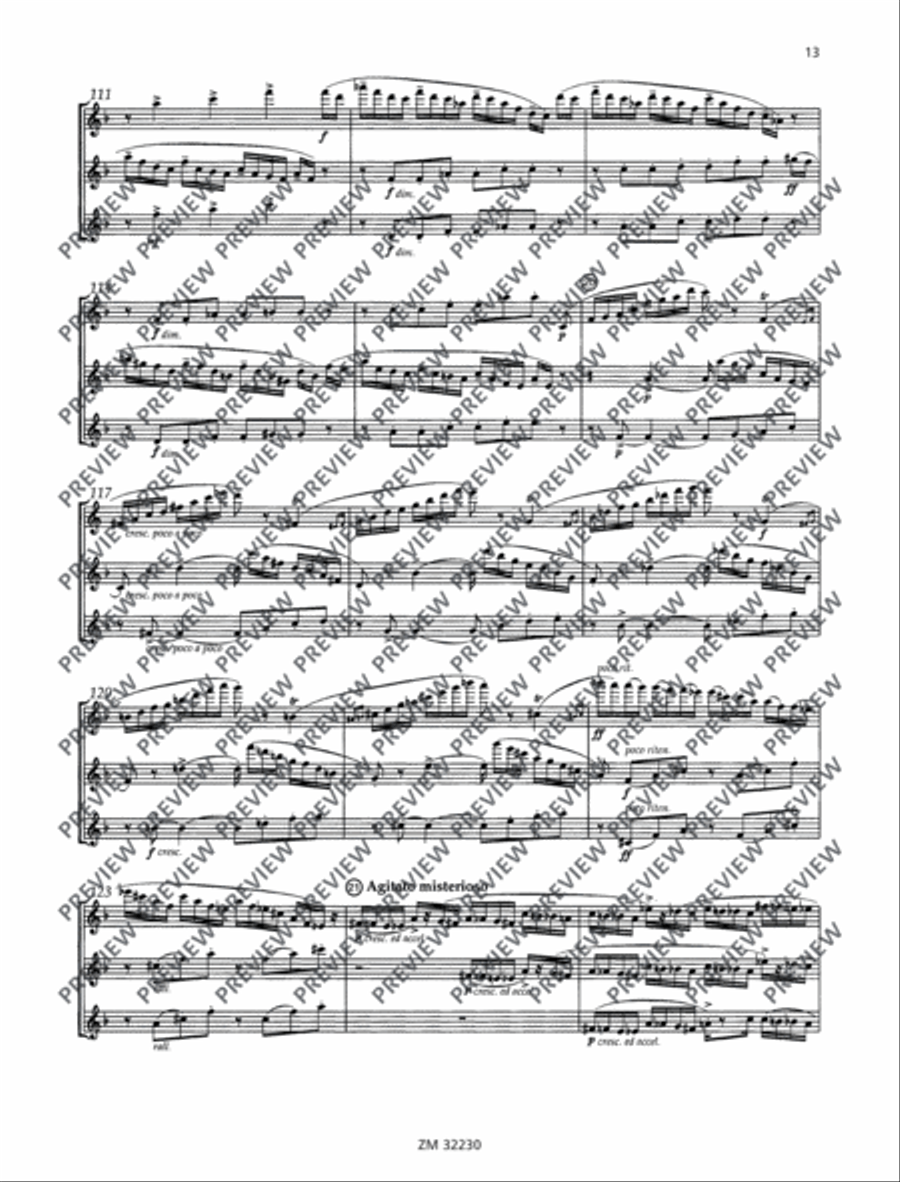 I tre virtuosi Flute Trio scores gallery preview page 14