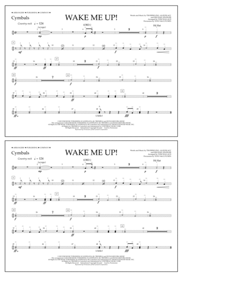 Wake Me Up! - Cymbals