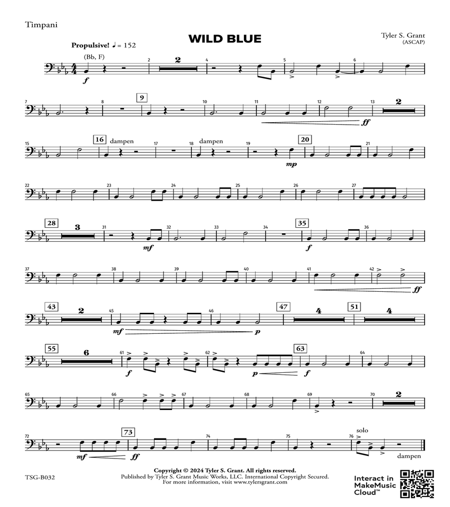 Book cover for Wild Blue: Timpani