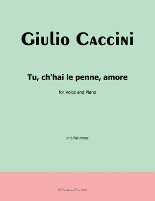 Tu, ch'hai le penne, Amore, by Giulio Caccini, in b flat minor
