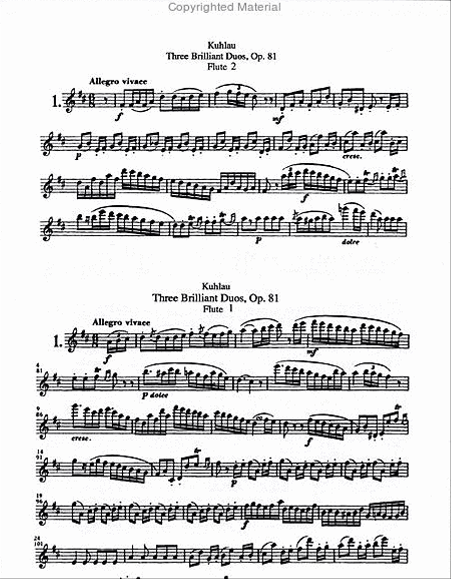 3 Brilliant Duos, Op.81 Flute Duet scores gallery preview page 2