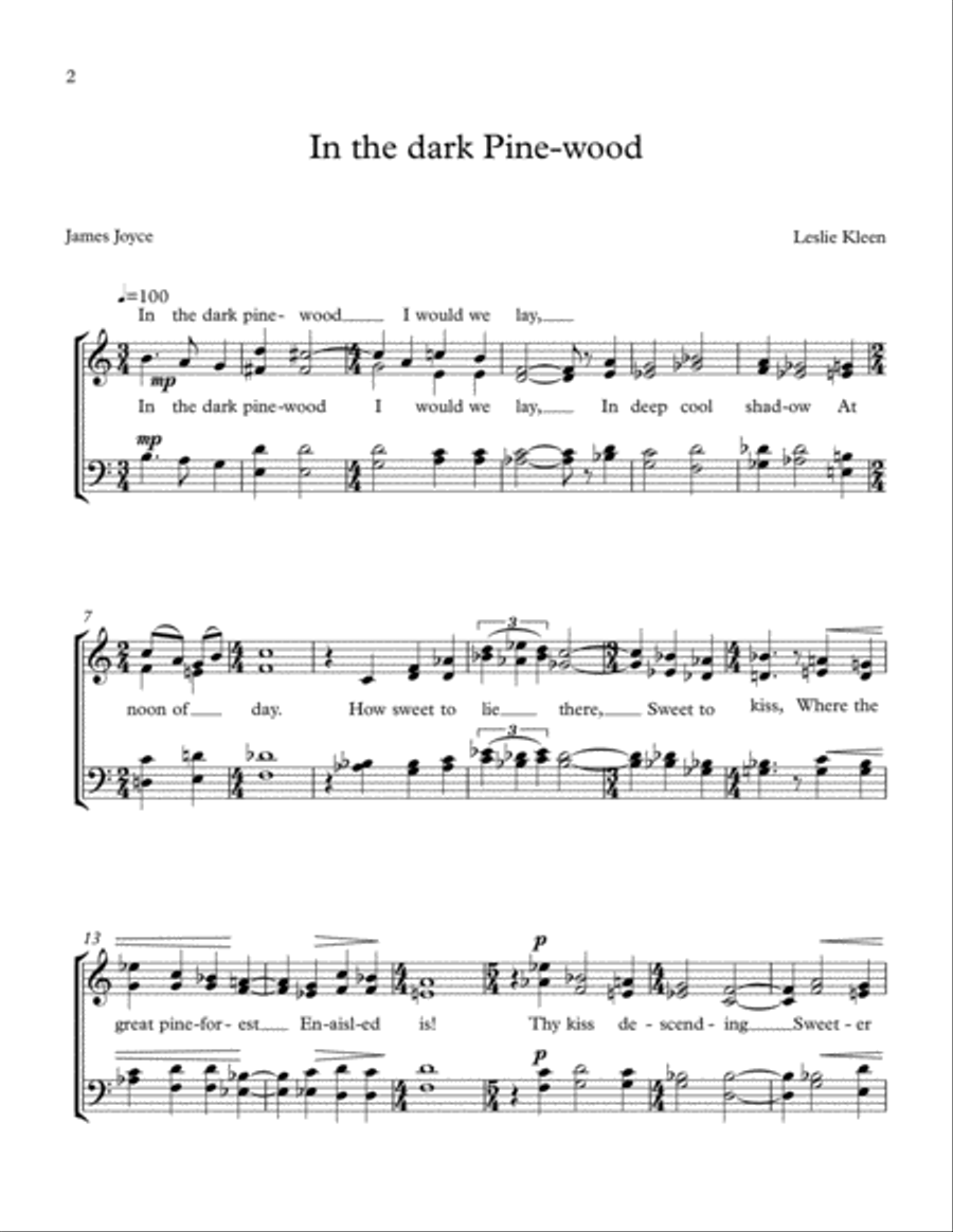In the Dark Pine-wood for SATB a cappella 4-Part scores gallery preview page 2