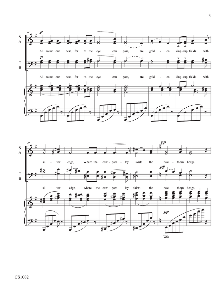 Silent Noon 4-Part scores gallery preview page 3
