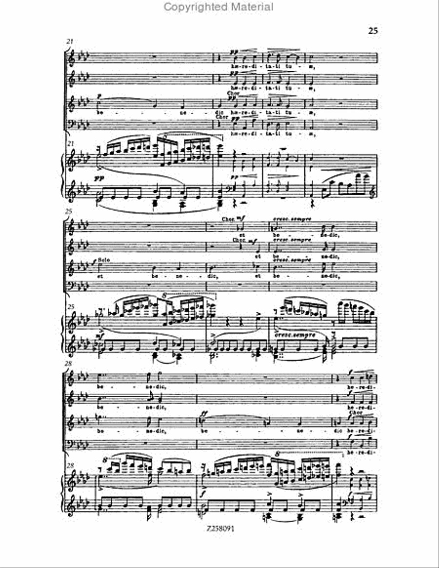 Te Deum, WAB 45 (1886 revision) Choir scores gallery preview page 25