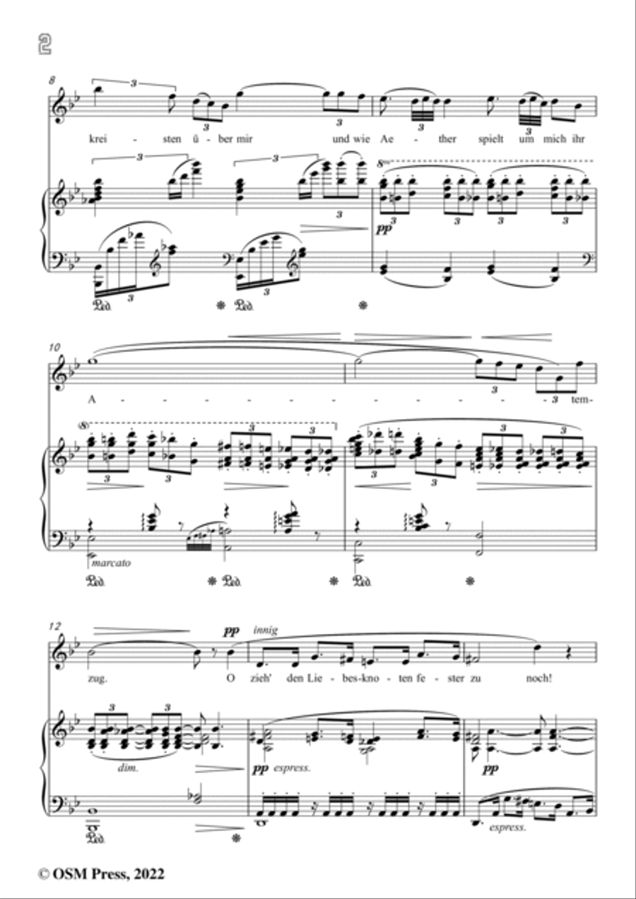 Richard Strauss-Gestern war ich Atlas,in B flat Major Voice scores gallery preview page 4