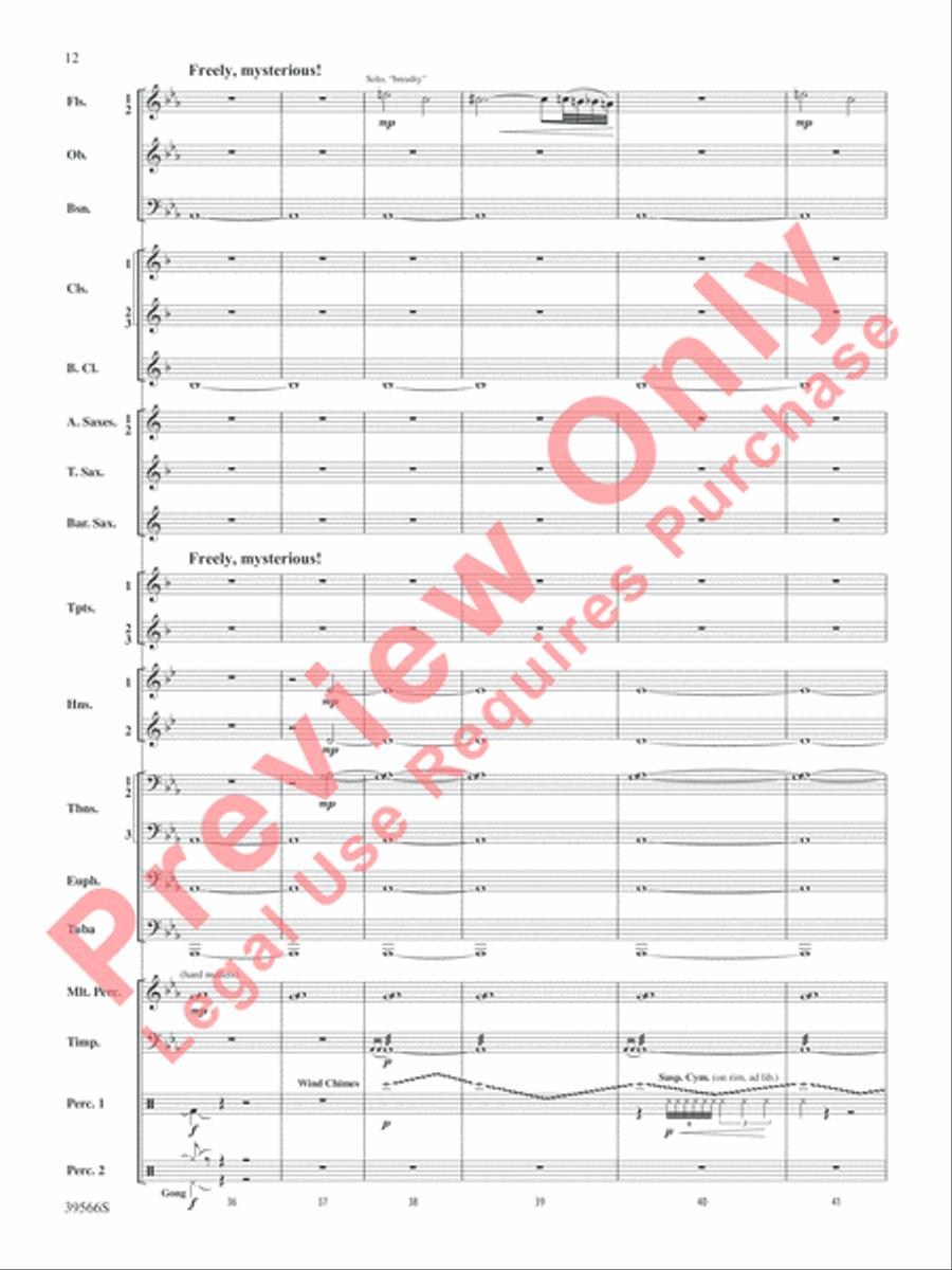 At the Movies with Danny Elfman Concert Band scores gallery preview page 13