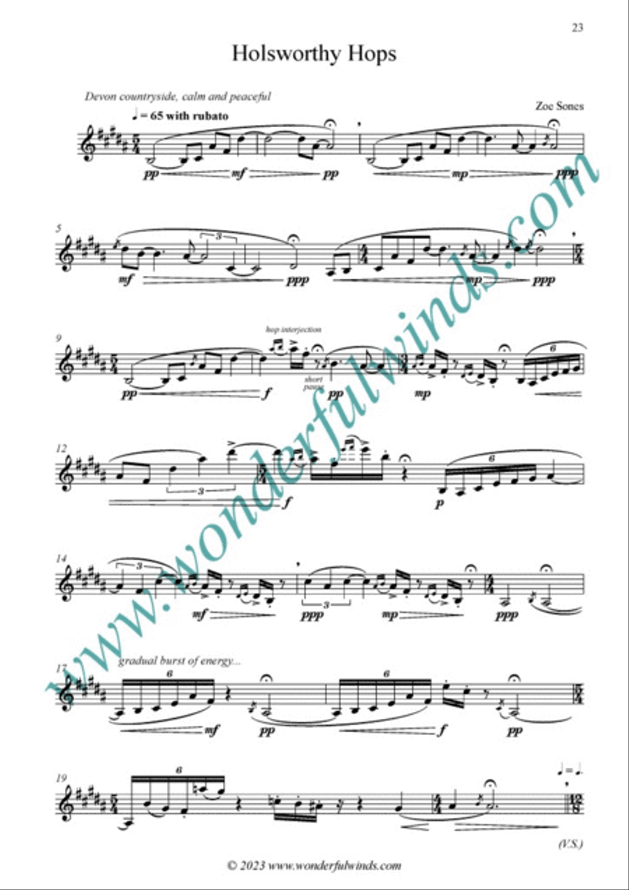 Ten Devon Pints B-Flat Clarinet scores gallery preview page 5