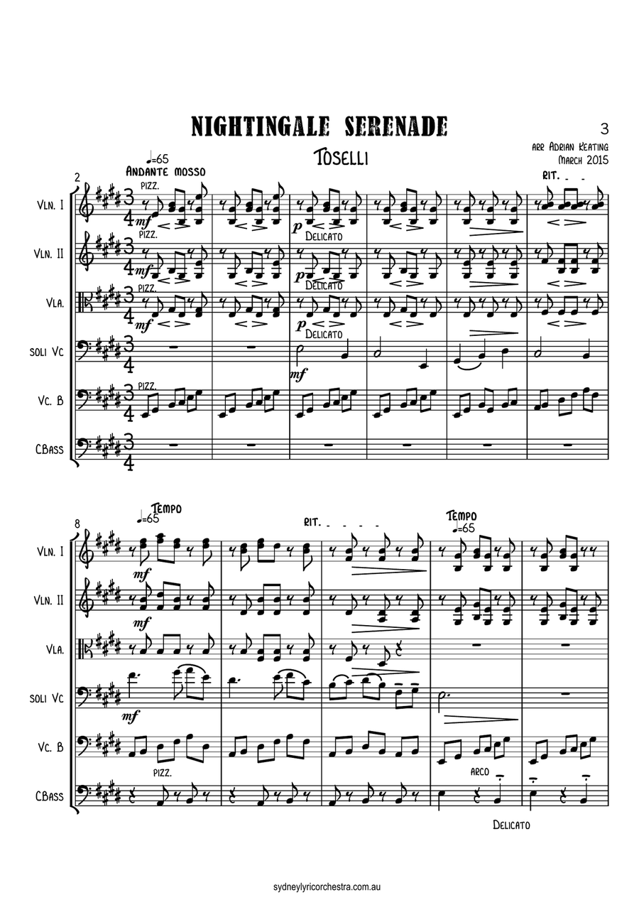 Nightingale Serenade - Toselli - String Chamber Orchestra - 6 parts - intermediate to professional e Chamber Orchestra scores gallery preview page 3