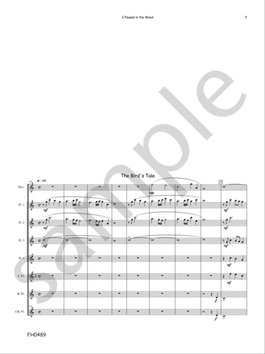 I Paused In The Wood I Paused In The Wood Flute Quartet scores gallery preview page 7