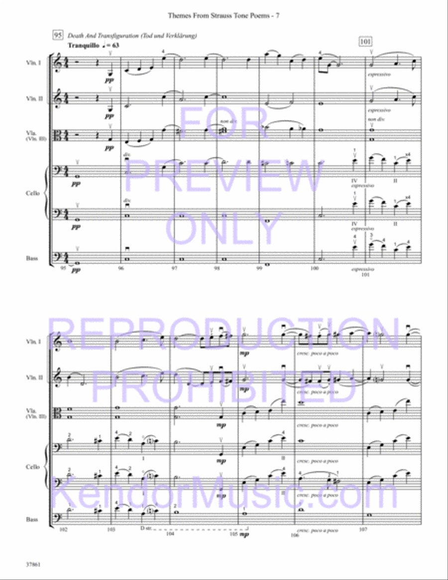 Themes From Strauss Tone Poems String Orchestra scores gallery preview page 9