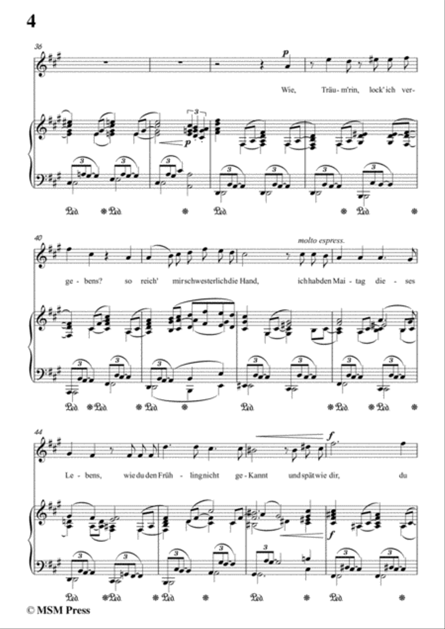 Richard Strauss-Die Georgine in f sharp minor,for Voice and Piano Voice Solo scores gallery preview page 6