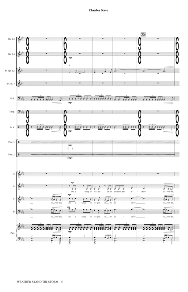 Weather: Stand The Storm (Chamber Ensemble) - Full Score