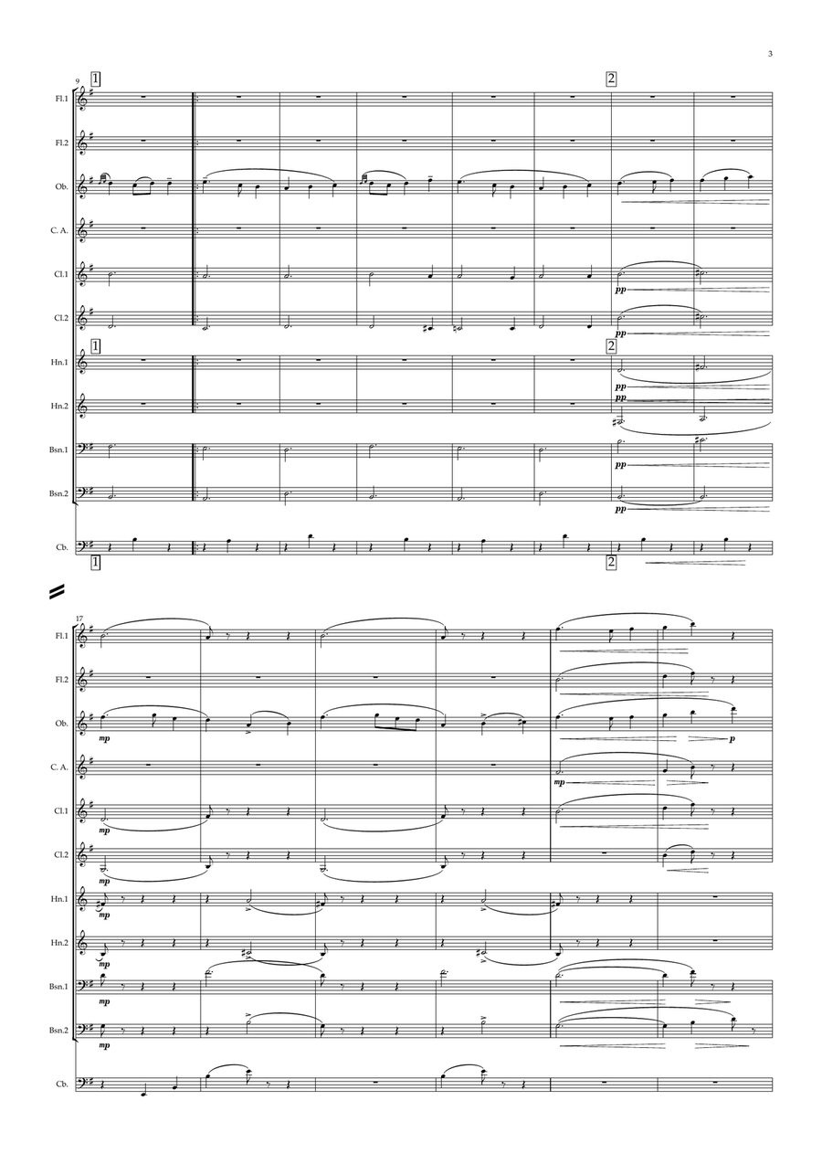 Ravel: Le Tombeau de Couperin No.III Menuet - Symphonic Wind Woodwind Quintet scores gallery preview page 3