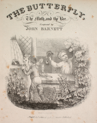 Book cover for The Butterfly, the Moth, and the Bee