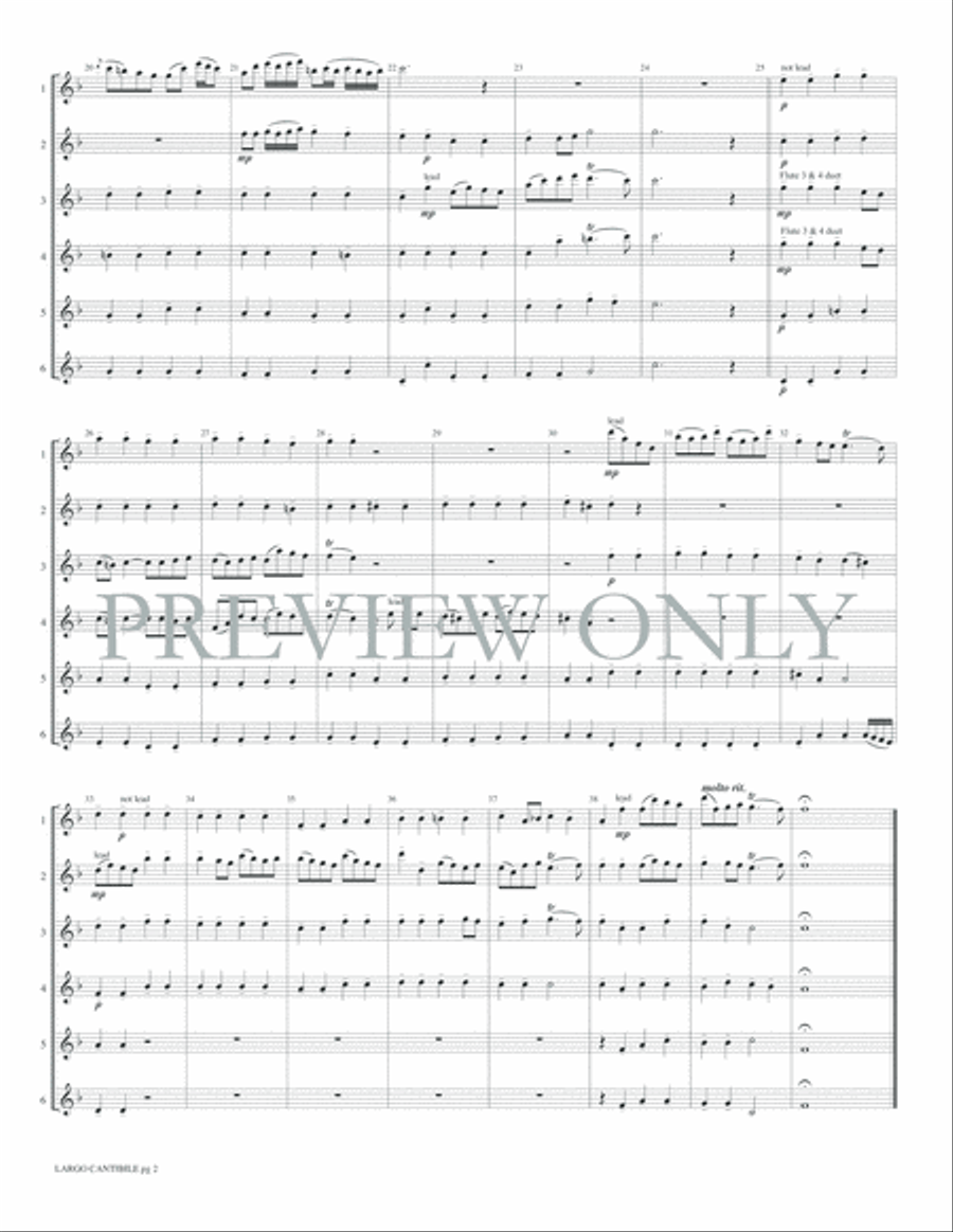 Largo Cantabile from Flute Sonata #1 Small Ensemble scores gallery preview page 4