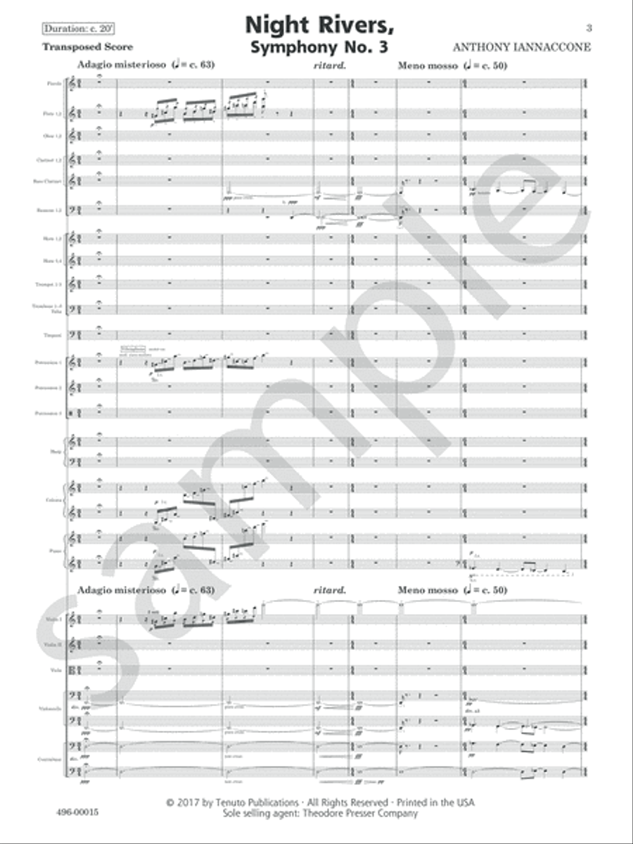 Night Rivers Orchestra scores gallery preview page 5